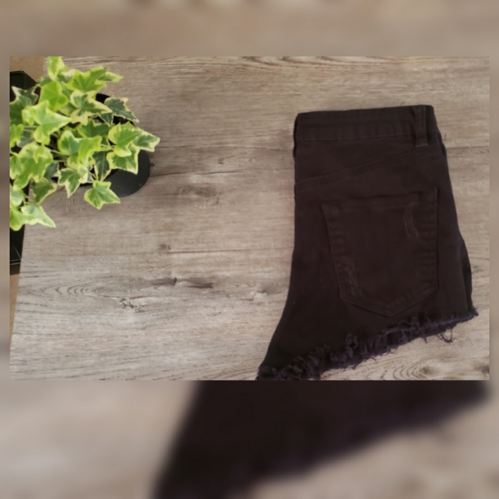 Refuge shorts